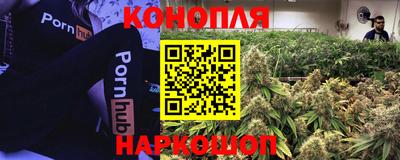 таблы Будённовск